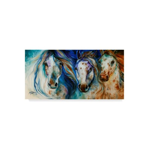 Trademark Fine Art Marcia Baldwin '3 Wild Appaloosa Horses' Canvas Art, 10x19 - ALI34597-C1019GG