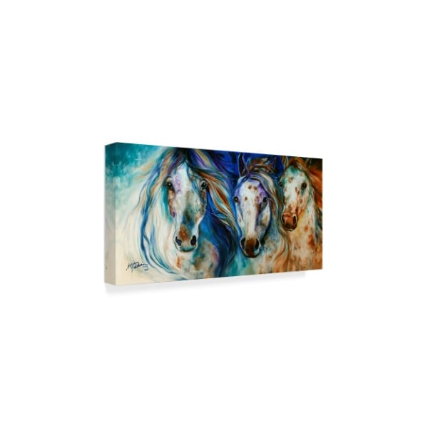 Trademark Fine Art Marcia Baldwin '3 Wild Appaloosa Horses' Canvas Art, 10x19 - ALI34597-C1019GG