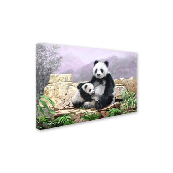 Trademark Fine Art The Macneil Studio 'Panda' Canvas Art, 12x19 - ALI8959-C1219GG