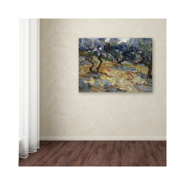 Trademark Fine Art Van Gogh 'Olive Trees' Canvas Art, 14x19 - AA00903-C1419GG