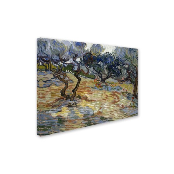 Trademark Fine Art Van Gogh 'Olive Trees' Canvas Art, 14x19 - AA00903-C1419GG