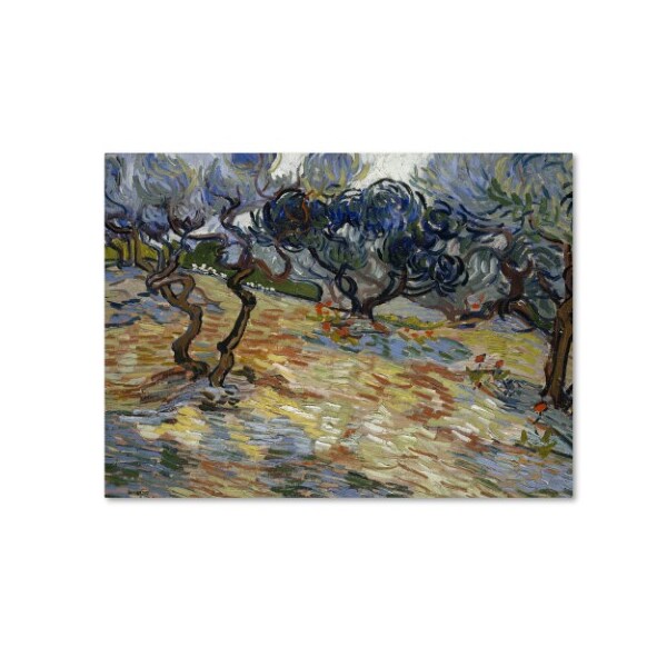 Trademark Fine Art Van Gogh 'Olive Trees' Canvas Art, 14x19 - AA00903-C1419GG