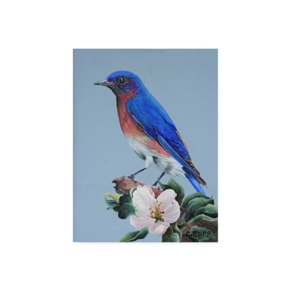 Trademark Fine Art Carol J Rupp 'Eastern Bluebird In Trees' Canvas Art, 14x19 - ALI39849-C1419GG