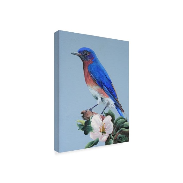 Trademark Fine Art Carol J Rupp 'Eastern Bluebird In Trees' Canvas Art, 14x19 - ALI39849-C1419GG