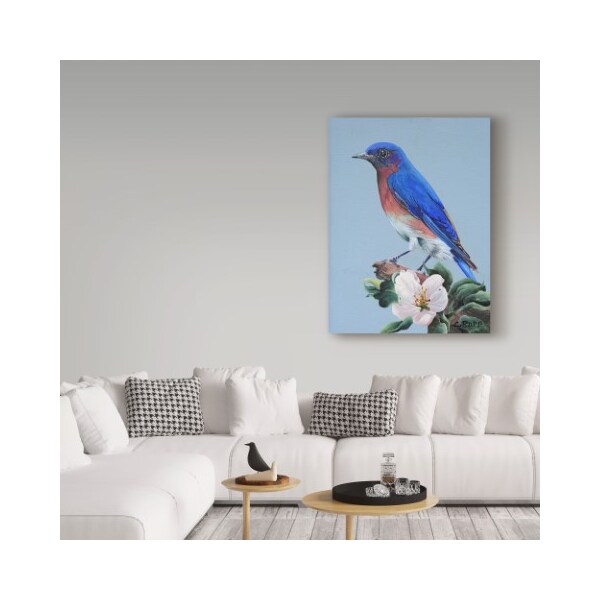 Trademark Fine Art Carol J Rupp 'Eastern Bluebird In Trees' Canvas Art, 14x19 - ALI39849-C1419GG
