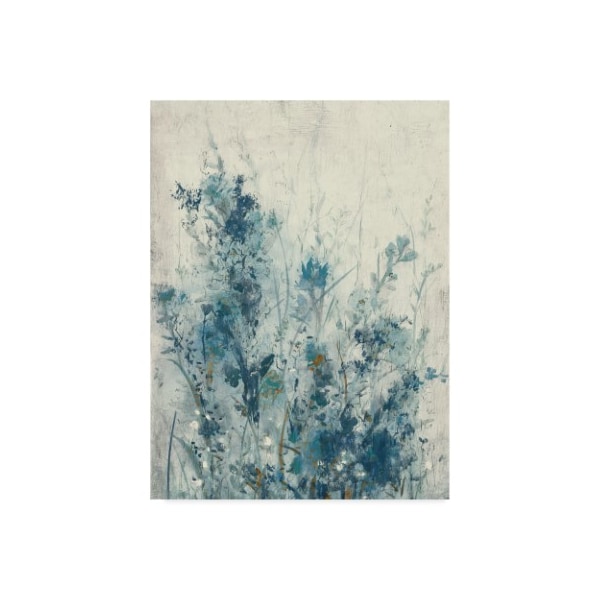 Trademark Fine Art Tim Otoole 'Blue Spring I' Canvas Art, 18x24 - WAG08402-C1824GG