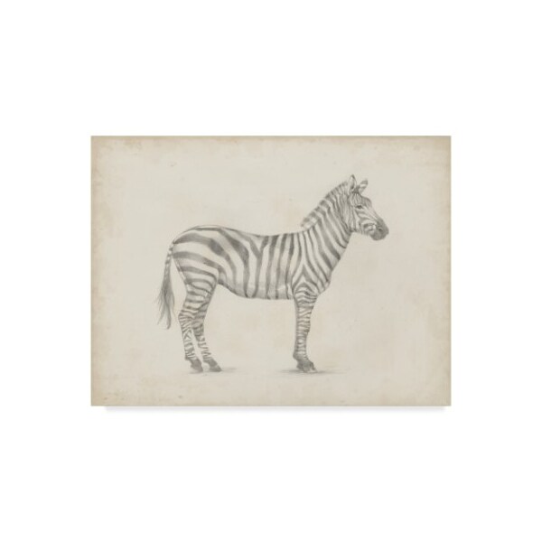 Trademark Fine Art Ethan Harper 'Zebra Sketch' Canvas Art, 18x24 - WAG06557-C1824GG