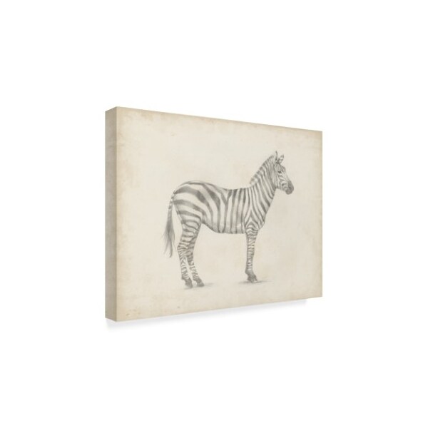 Trademark Fine Art Ethan Harper 'Zebra Sketch' Canvas Art, 18x24 - WAG06557-C1824GG