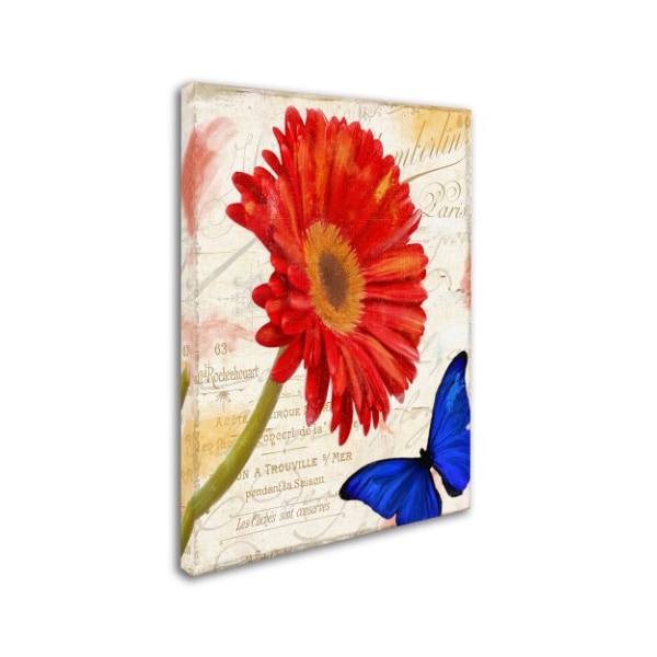 Trademark Fine Art Color Bakery 'Gerbera Daisy' Canvas Art, 18x24 - ALI4712-C1824GG