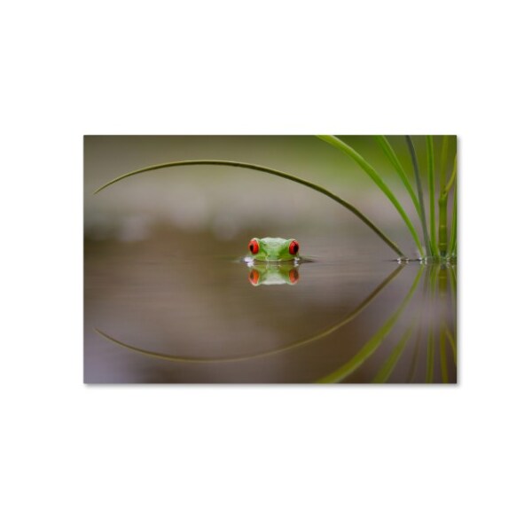 Trademark Fine Art Kutub Uddin 'Beauty Of Reflection' Canvas Art, 30x47 - 1X00436-C3047GG