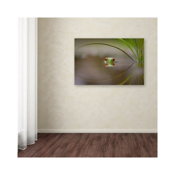 Trademark Fine Art Kutub Uddin 'Beauty Of Reflection' Canvas Art, 30x47 - 1X00436-C3047GG