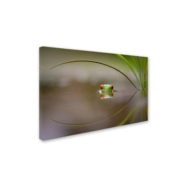 Trademark Fine Art Kutub Uddin 'Beauty Of Reflection' Canvas Art, 30x47 - 1X00436-C3047GG