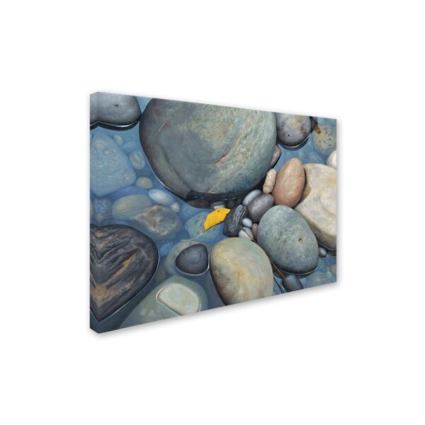 Trademark Fine Art Stephen Stavast 'Reflections on a Gray Day' Canvas Art, 18x24 - ALI0744-C1824GG