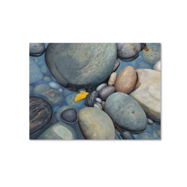 Trademark Fine Art Stephen Stavast 'Reflections on a Gray Day' Canvas Art, 18x24 - ALI0744-C1824GG