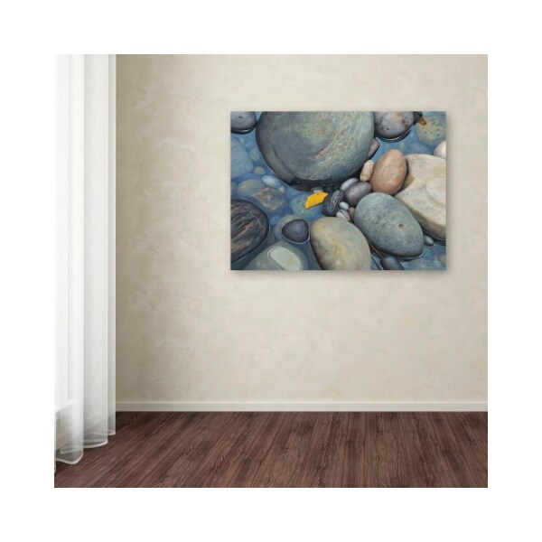 Trademark Fine Art Stephen Stavast 'Reflections on a Gray Day' Canvas Art, 18x24 - ALI0744-C1824GG