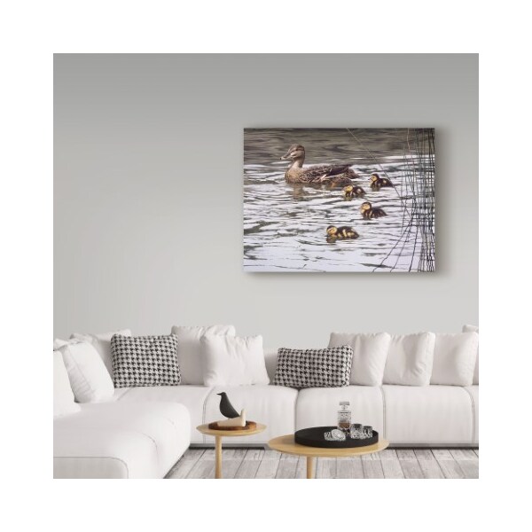 Trademark Fine Art Ron Parker 'Mallard Family' Canvas Art, 18x24 - ALI32525-C1824GG