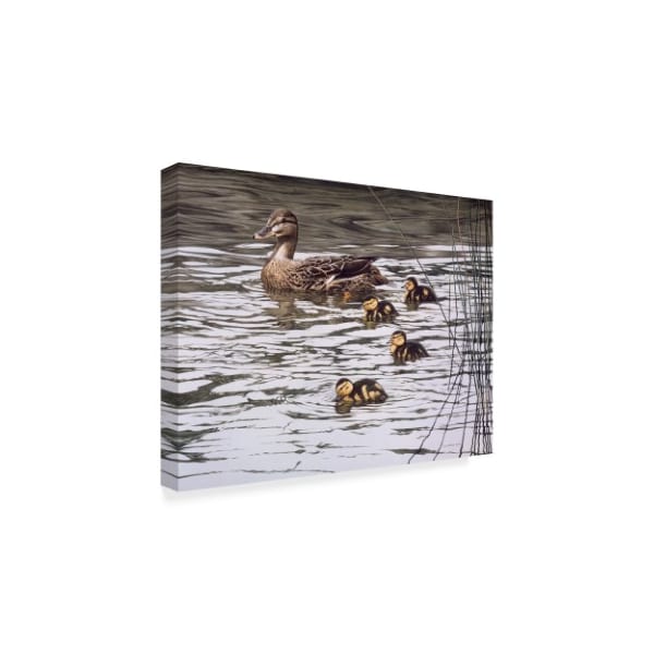Trademark Fine Art Ron Parker 'Mallard Family' Canvas Art, 18x24 - ALI32525-C1824GG