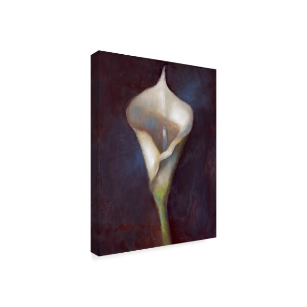 Trademark Fine Art Hall Groat Ii 'Calla Lily White' Canvas Art, 18x24 - ALI35633-C1824GG