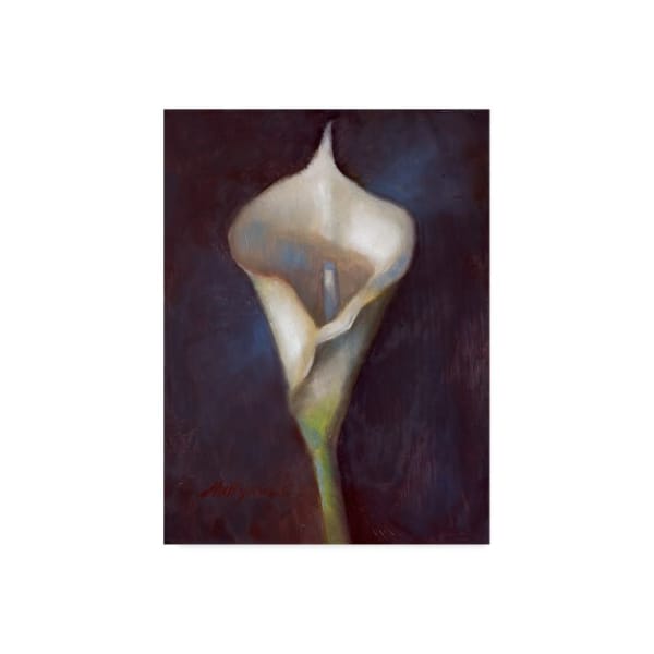 Trademark Fine Art Hall Groat Ii 'Calla Lily White' Canvas Art, 18x24 - ALI35633-C1824GG