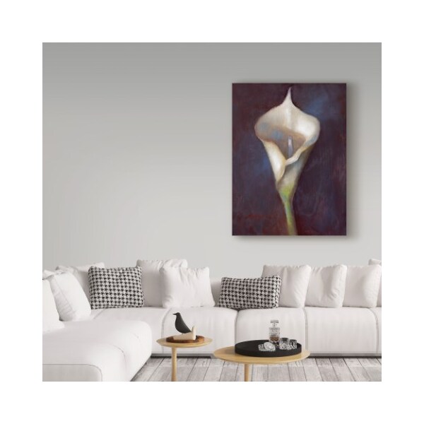 Trademark Fine Art Hall Groat Ii 'Calla Lily White' Canvas Art, 18x24 - ALI35633-C1824GG