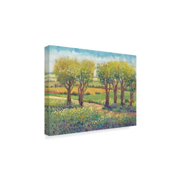 Trademark Fine Art Tim Otoole 'Garden Path I' Canvas Art, 18x24 - WAG08714-C1824GG