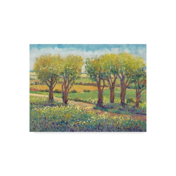 Trademark Fine Art Tim Otoole 'Garden Path I' Canvas Art, 18x24 - WAG08714-C1824GG