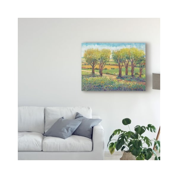 Trademark Fine Art Tim Otoole 'Garden Path I' Canvas Art, 18x24 - WAG08714-C1824GG
