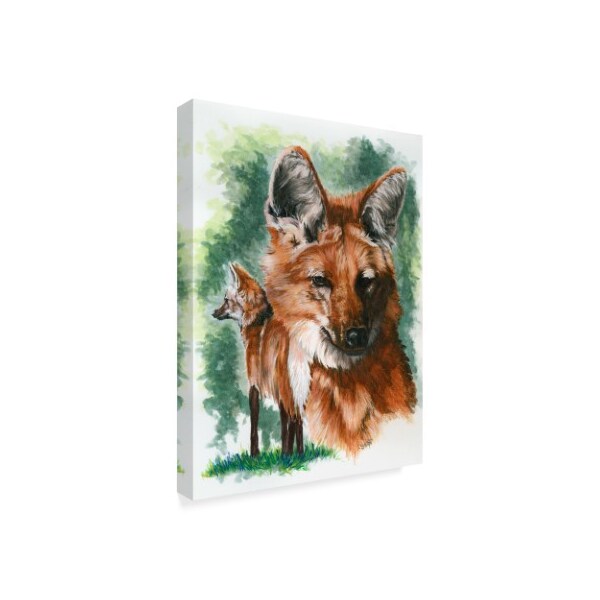 Trademark Fine Art Barbara Keith 'Elegant' Canvas Art, 18x24 - ALI25540-C1824GG