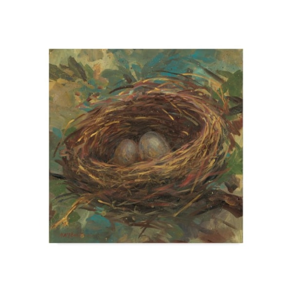 Trademark Fine Art Mary Miller Veazie 'The Chosen Ones' Canvas Art, 18x18 - ALI31263-C1818GG