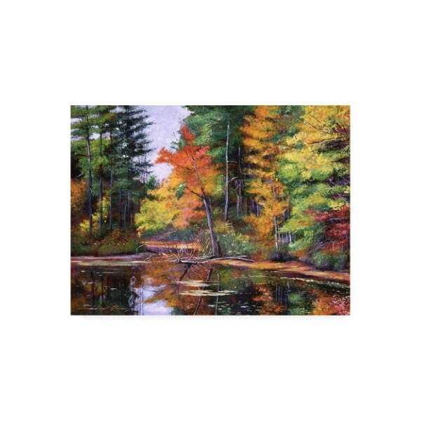 Trademark Fine Art David Lloyd Glover 'Lakeside Reflections' Canvas Art, 18x24 - DLG00908-C1824GG