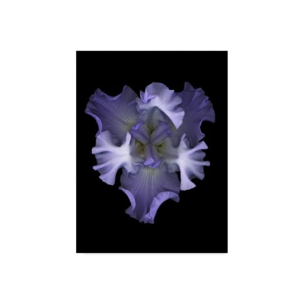 Trademark Fine Art Susan S. Barmon 'Blue Iris 1' Canvas Art, 18x24 - ALI34442-C1824GG