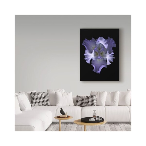 Trademark Fine Art Susan S. Barmon 'Blue Iris 1' Canvas Art, 18x24 - ALI34442-C1824GG