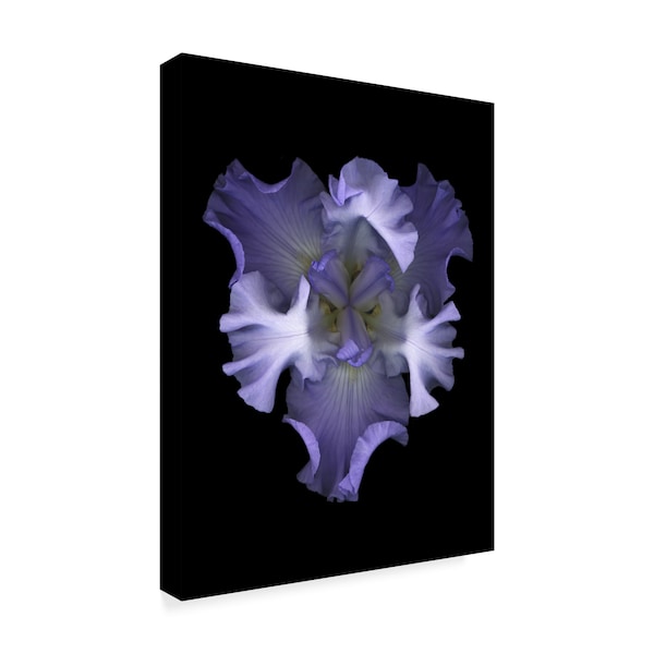 Trademark Fine Art Susan S. Barmon 'Blue Iris 1' Canvas Art, 18x24 - ALI34442-C1824GG
