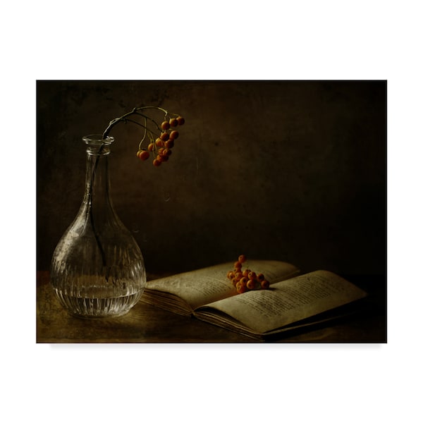 Trademark Fine Art Delphine Devos 'In The Dark Of My Days' Canvas Art, 18x24 - 1X06404-C1824GG