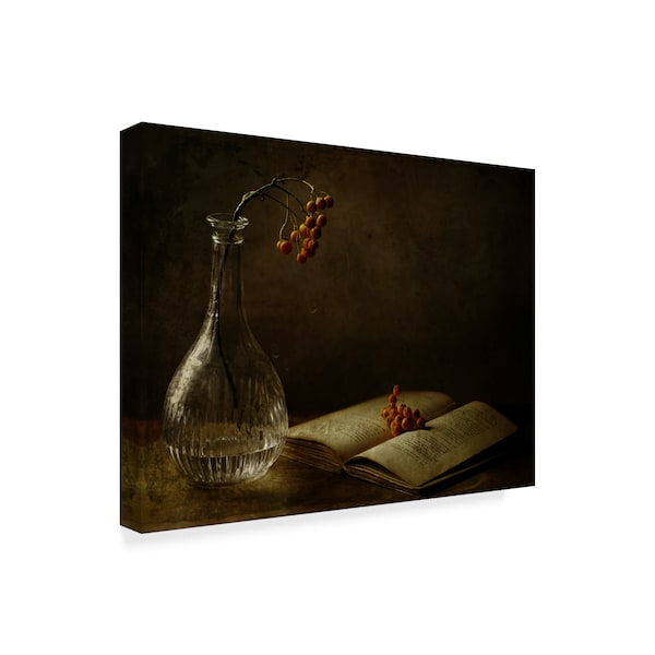 Trademark Fine Art Delphine Devos 'In The Dark Of My Days' Canvas Art, 18x24 - 1X06404-C1824GG