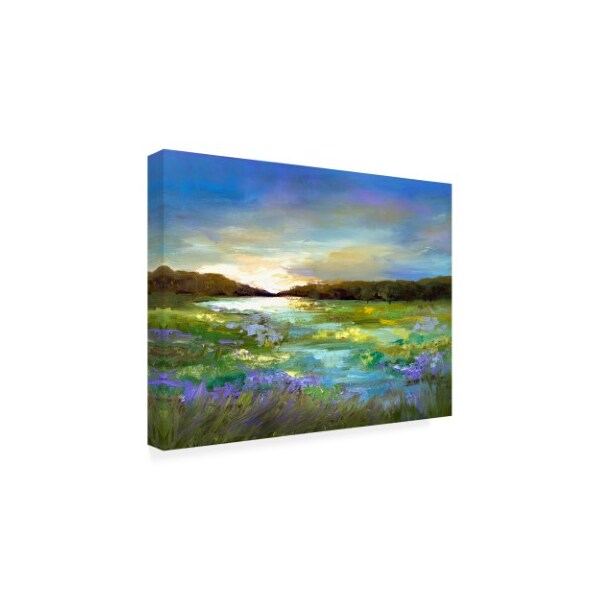 Trademark Fine Art Sheila Finch 'Radiant Evening' Canvas Art, 18x24 - WAG11205-C1824GG