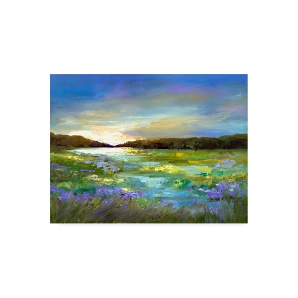 Trademark Fine Art Sheila Finch 'Radiant Evening' Canvas Art, 18x24 - WAG11205-C1824GG