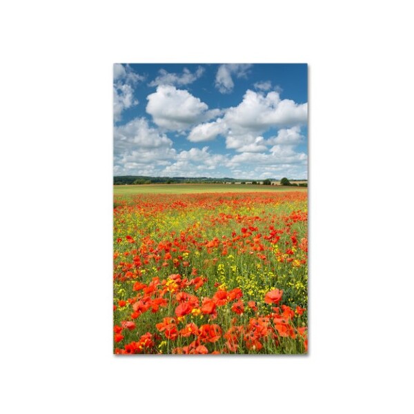 Trademark Fine Art Adam Burton 'Colours of Summer' Canvas Art, 12x19 - ALI7304-C1219GG