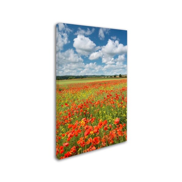 Trademark Fine Art Adam Burton 'Colours of Summer' Canvas Art, 12x19 - ALI7304-C1219GG