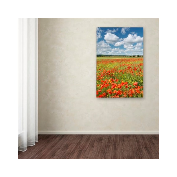 Trademark Fine Art Adam Burton 'Colours of Summer' Canvas Art, 12x19 - ALI7304-C1219GG