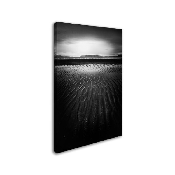Trademark Fine Art Philippe Sainte-Laudy 'Black Magic' Canvas Art, 12x19 - PSL0617-C1219GG