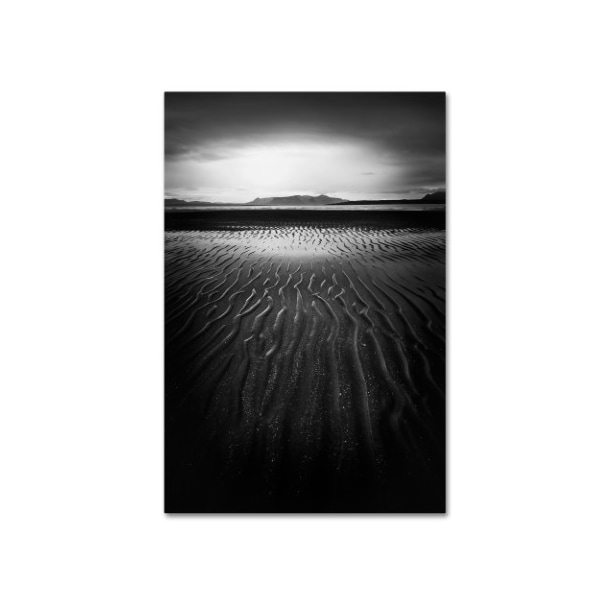 Trademark Fine Art Philippe Sainte-Laudy 'Black Magic' Canvas Art, 12x19 - PSL0617-C1219GG