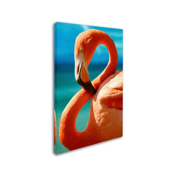 Trademark Fine Art Mike Jones Photo 'Flamingo S' Canvas Art, 12x19 - ALI17909-C1219GG