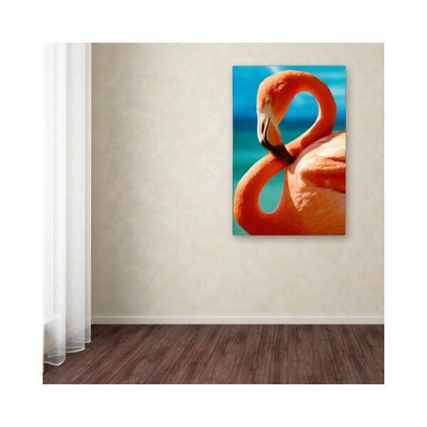 Trademark Fine Art Mike Jones Photo 'Flamingo S' Canvas Art, 12x19 - ALI17909-C1219GG