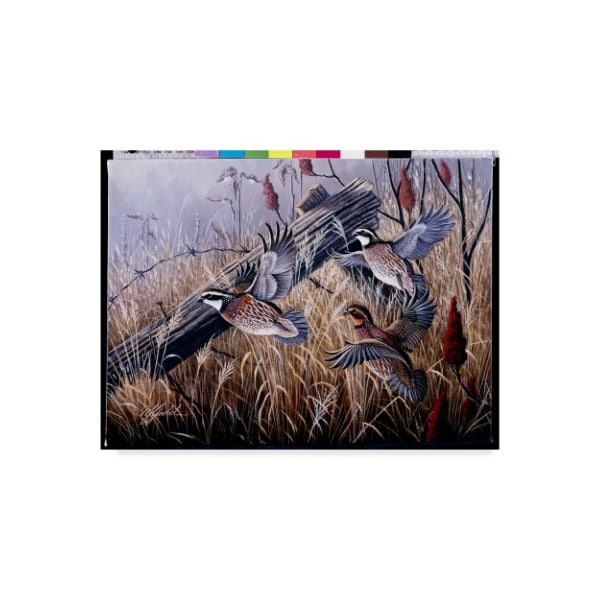 Trademark Fine Art Wilhelm Goebel 'Corner Post Covey Bobwhite' Canvas Art, 18x24 - ALI33765-C1824GG