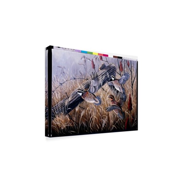 Trademark Fine Art Wilhelm Goebel 'Corner Post Covey Bobwhite' Canvas Art, 18x24 - ALI33765-C1824GG