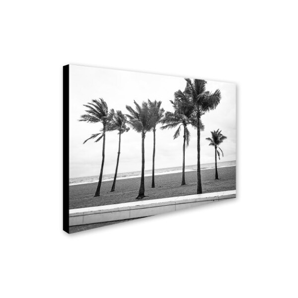 Trademark Fine Art Preston 'Florida BW Beach Palms' Canvas Art, 18x24 - EM0524-C1824GG