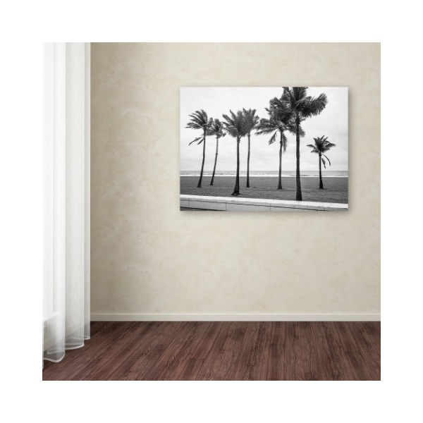 Trademark Fine Art Preston 'Florida BW Beach Palms' Canvas Art, 18x24 - EM0524-C1824GG