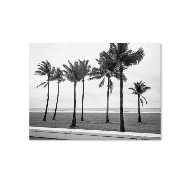 Trademark Fine Art Preston 'Florida BW Beach Palms' Canvas Art, 18x24 - EM0524-C1824GG
