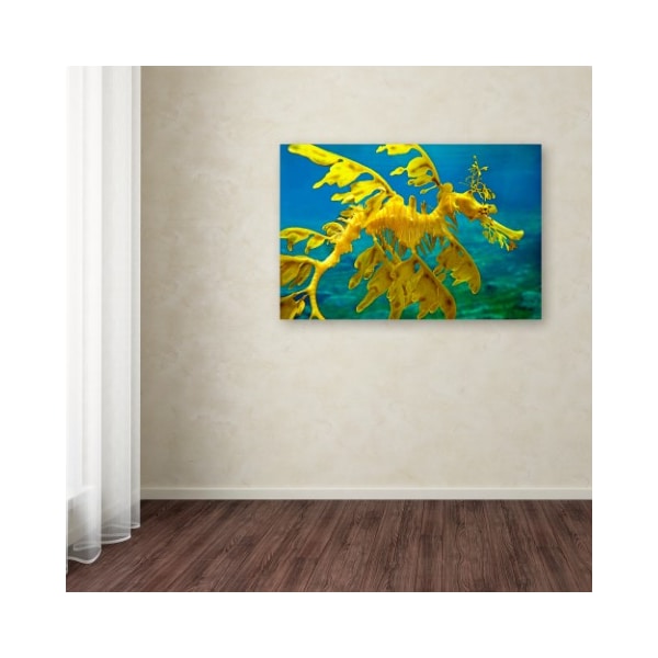 Trademark Fine Art Mike Jones Photo 'Sea Dragon' Canvas Art, 12x19 - ALI17861-C1219GG